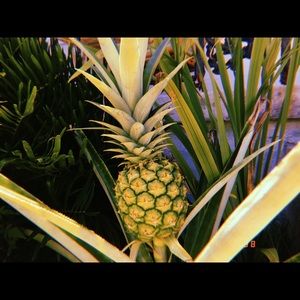 Meet your Posher, Claire